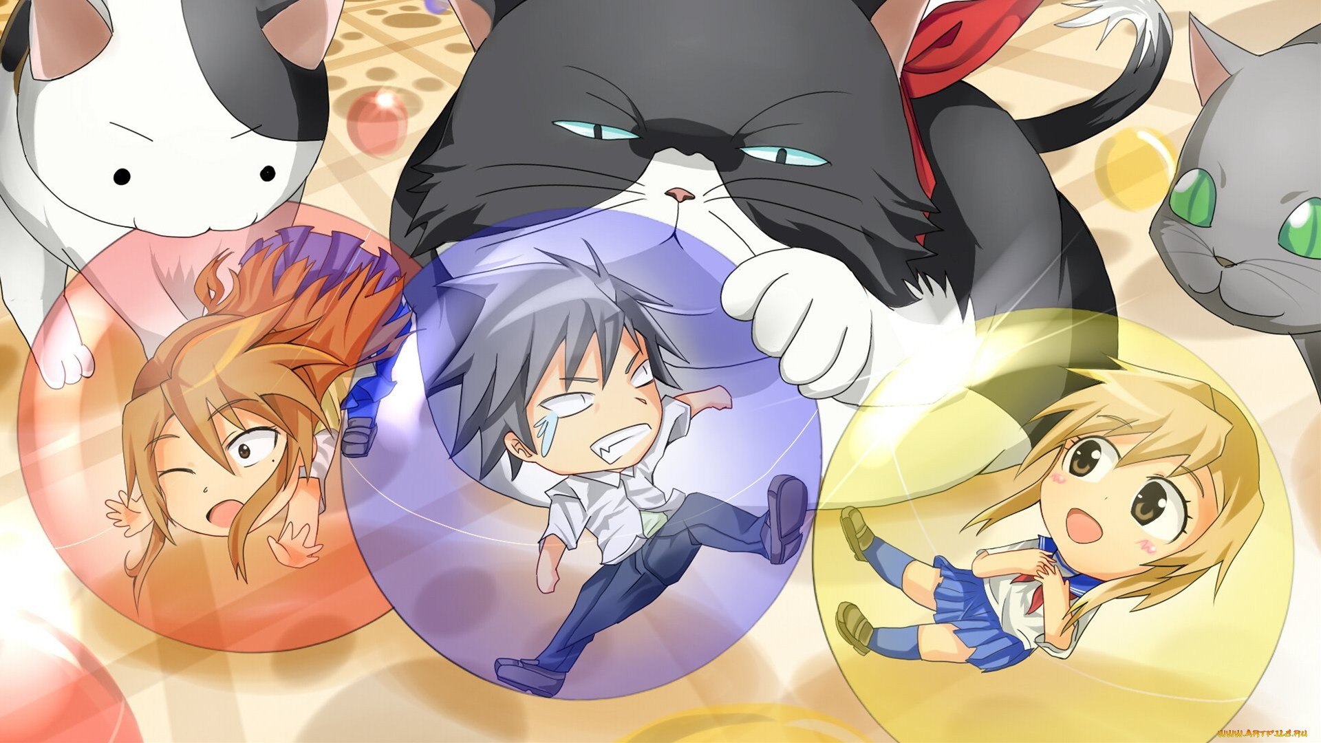 , nyankoi